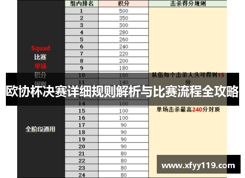 欧协杯决赛详细规则解析与比赛流程全攻略